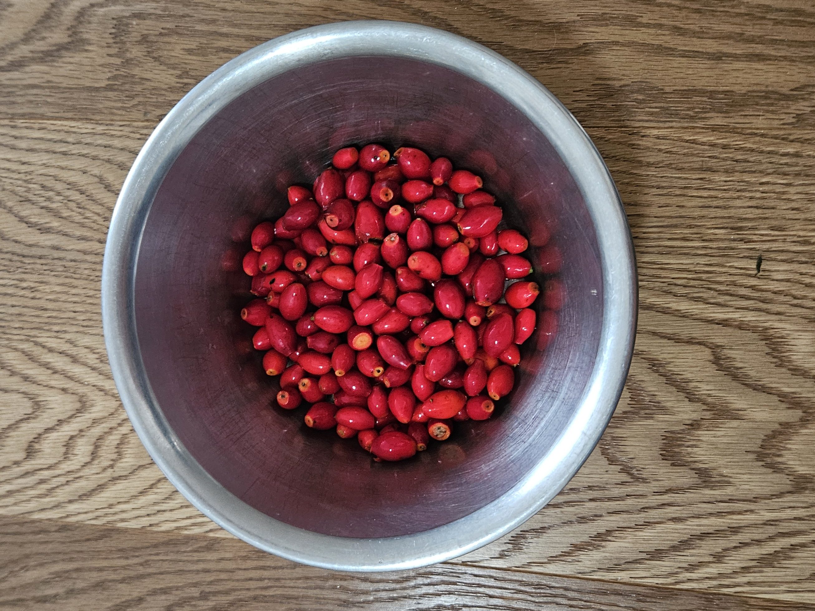 Hagebutten einer Heckenrose