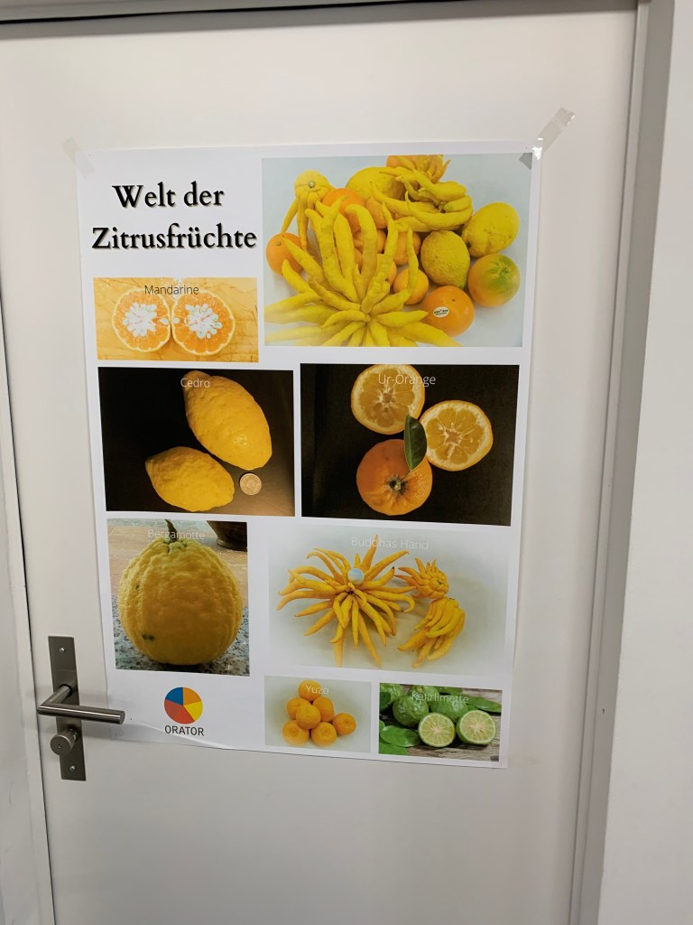 Einige der Zutaten für die «Orator»-Geiste