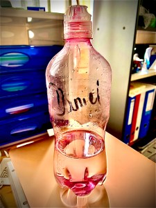 Mein erstes Mal – Palinka