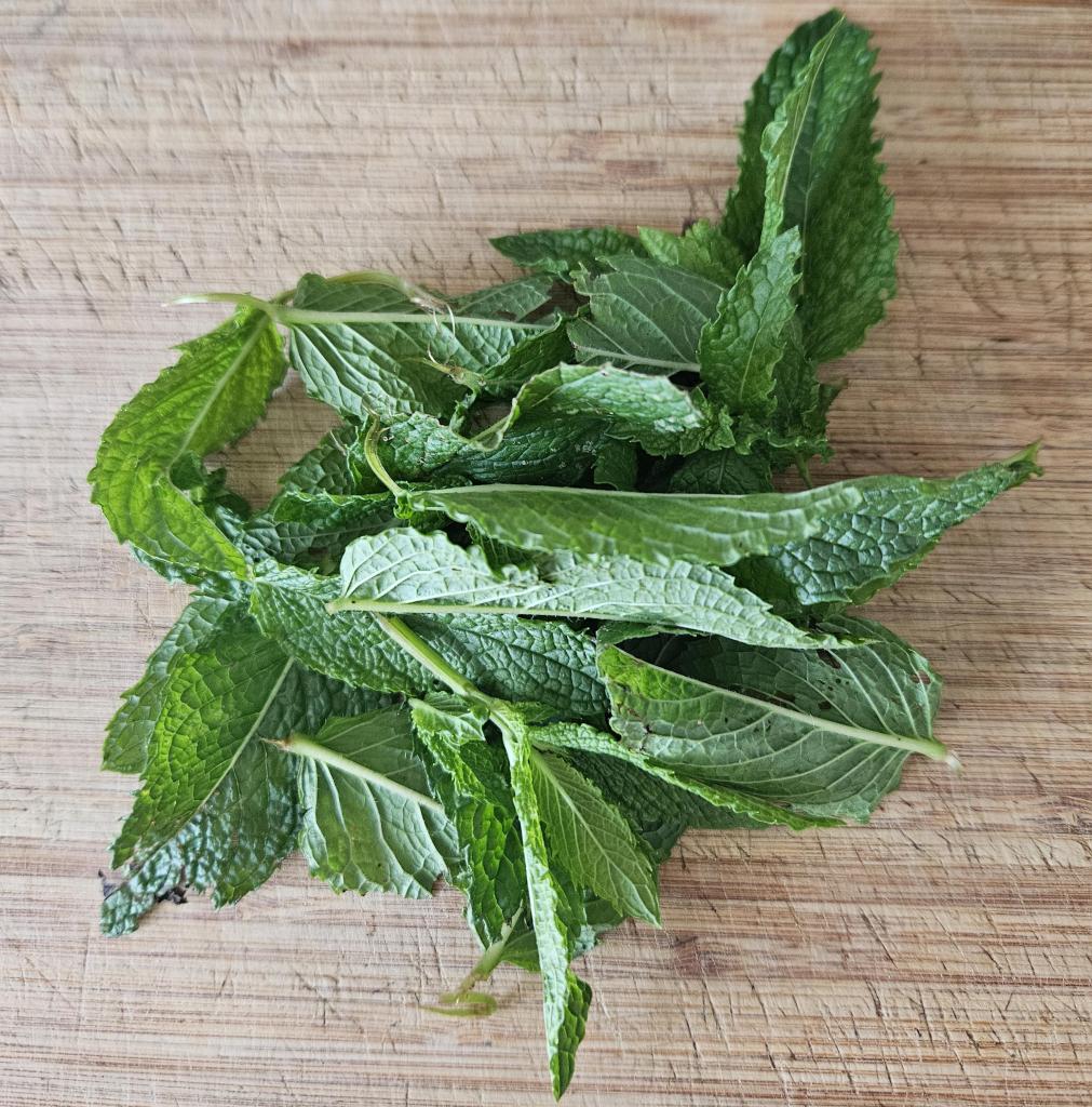 War ursprünglich eine Nymphe, die Pfefferminze