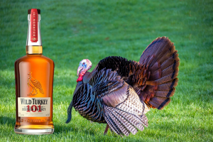 Ein Hoch auf den Truthahn