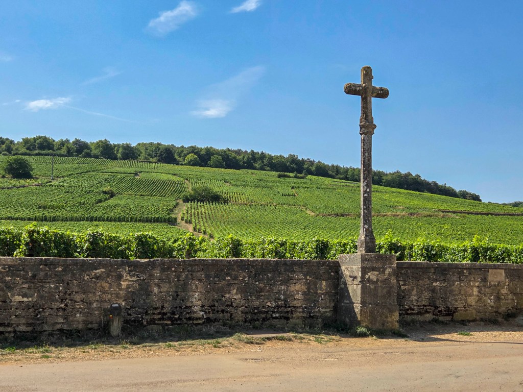 Das Paradies für Weinfans – Pinot-Noir-Reben in der Monopollage Romanée-Conti. Quelle: Wikipedro - Eigenes Werk, CC BY-SA 4.0, https://commons.wikimedia.org